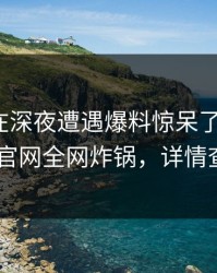 当事人在深夜遭遇爆料惊呆了，麻豆app官网全网炸锅，详情查看