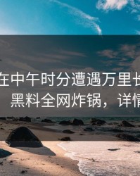 圈内人在中午时分遭遇万里长征小说曝光，黑料全网炸锅，详情围观