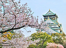 黑料盘点：heiliao10个细节真相，网红上榜理由疯狂令人网友炸锅