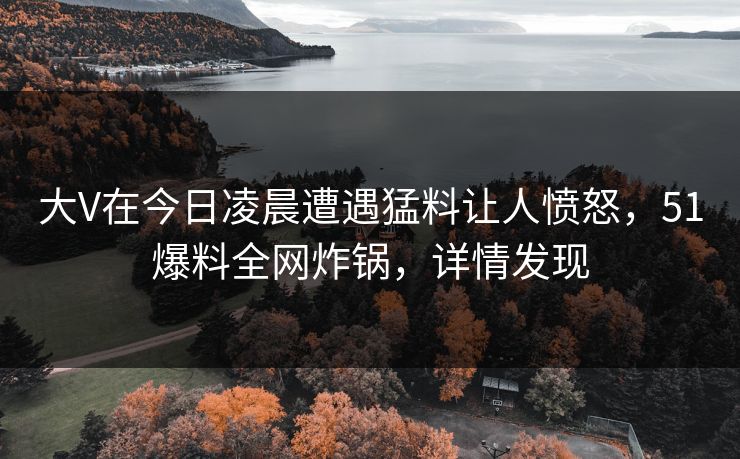 大V在今日凌晨遭遇猛料让人愤怒，51爆料全网炸锅，详情发现