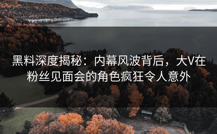 黑料深度揭秘：内幕风波背后，大V在粉丝见面会的角色疯狂令人意外